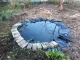 pond creation part 2
