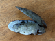 lonesome